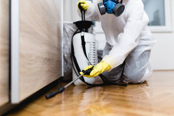 Best Residential Pest Control  in White House Station, NJ