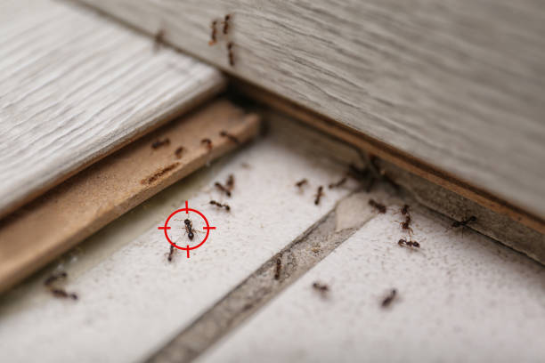 White House Station, NJ Pest Control Company