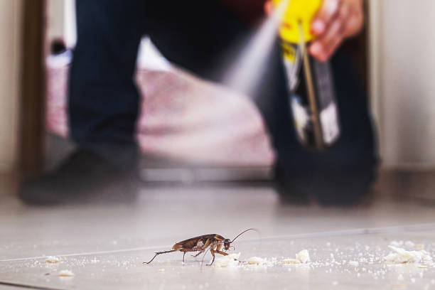 Best Cockroach Control Services  in White House Station, NJ
